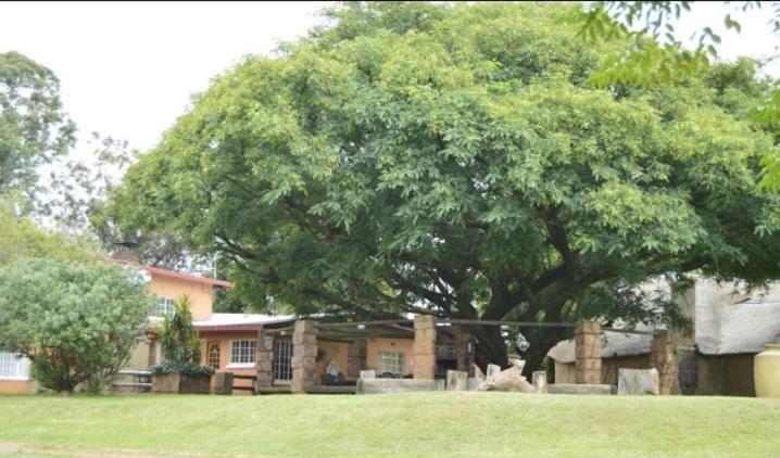 Anna Boeremeisie Guesthouse Benoni Phòng bức ảnh